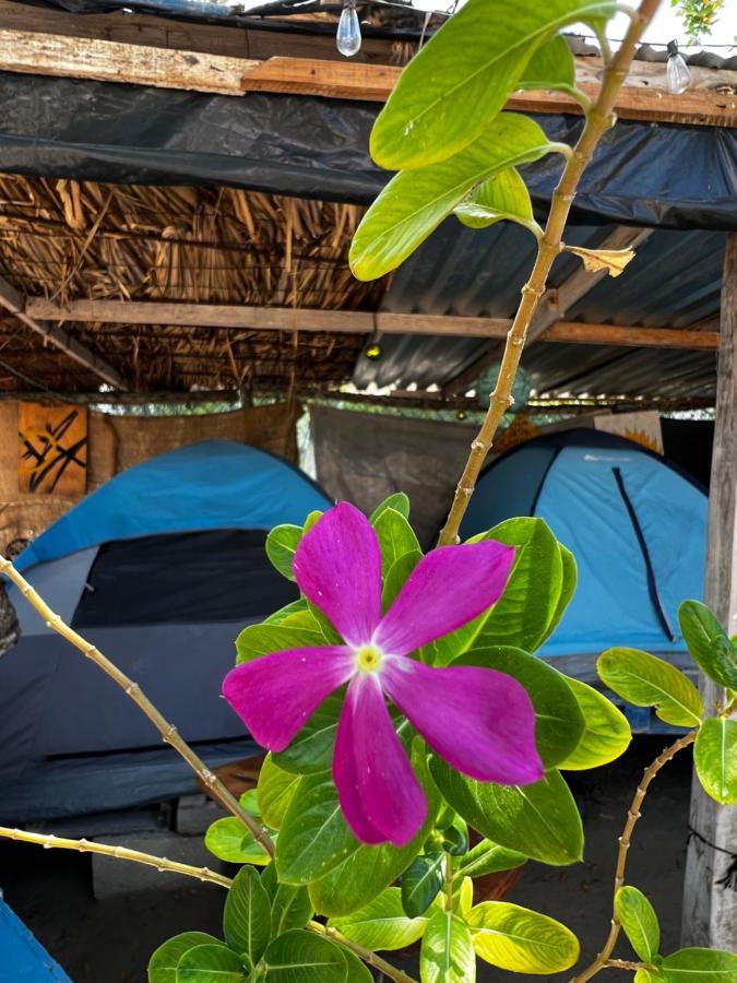 Casa De Los Santos Camping Y Eco Cabanas Isla Holbox ภายนอก รูปภาพ
